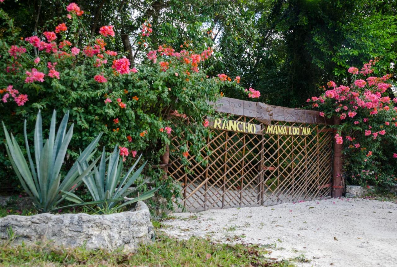 Rotamundos Mama Loomm Hotel Playa del Carmen Eksteriør billede