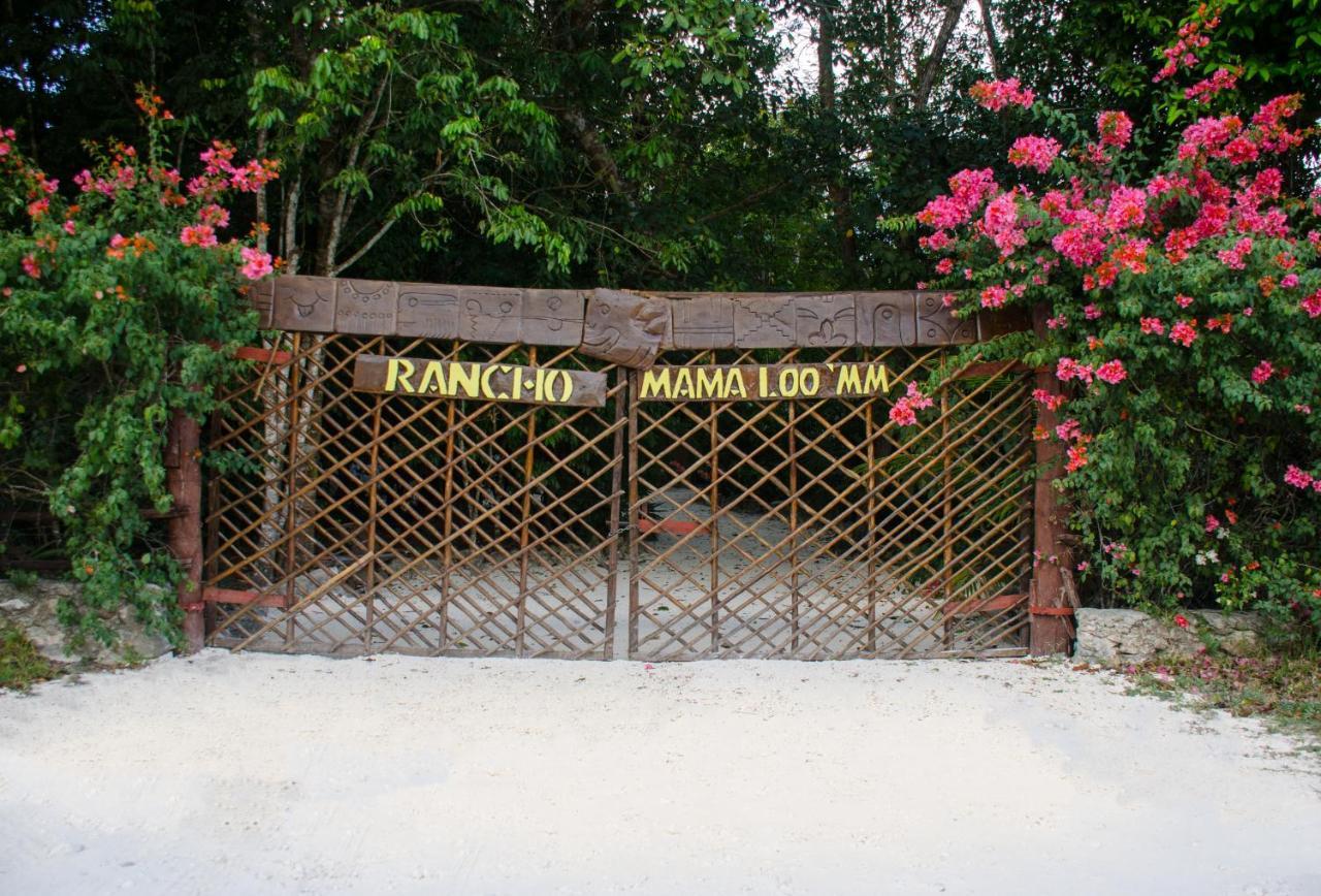 Rotamundos Mama Loomm Hotel Playa del Carmen Eksteriør billede